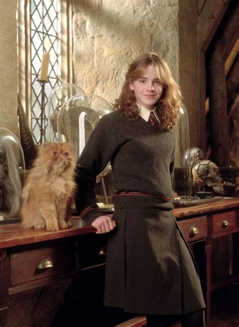 Chat with Hermione Granger 